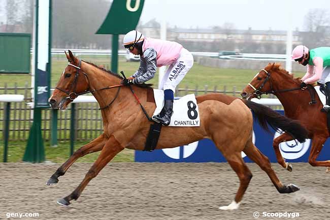 17/12/2022 - Chantilly - Prix du Poteau des Brulis : Arrivée