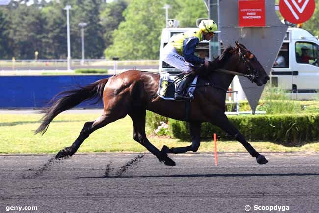 13/06/2023 - Vincennes - Prix Auriga : Arrivée