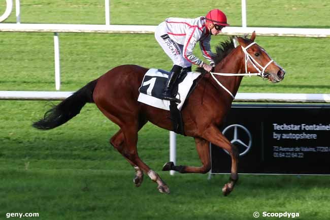 07/11/2023 - Fontainebleau - Prix des Frênes : Arrivée