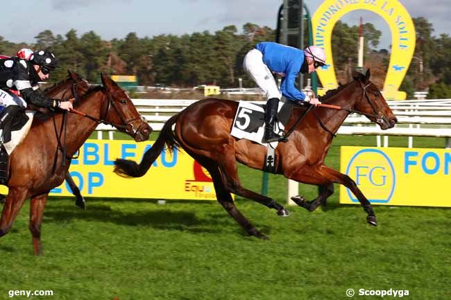 25/11/2023 - Fontainebleau - Prix Renault (Prix de la Touche aux Mulets) : Arrivée