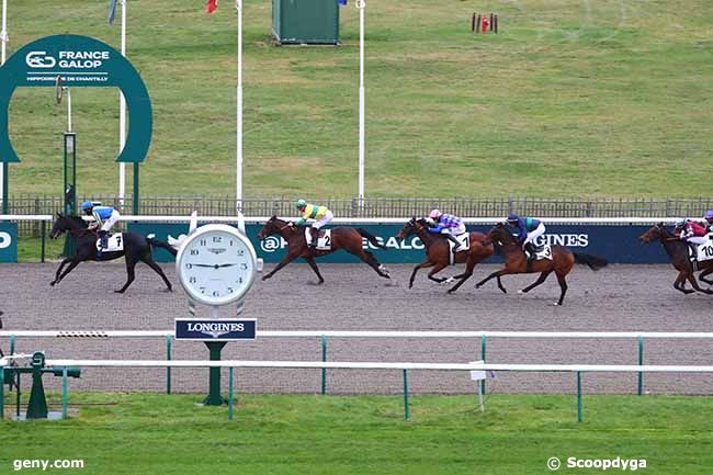 07/12/2023 - Chantilly - Prix du Carrefour des Marchands de Navet : Arrivée