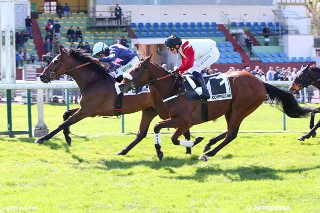 23/04/2024 - Compiègne - Prix du Brevent : Arrivée