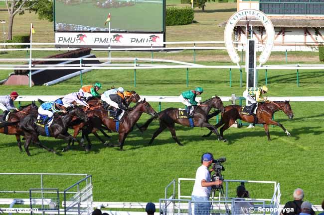 28/08/2024 - Compiègne - Prix des Bords de l'Oise : Arrivée