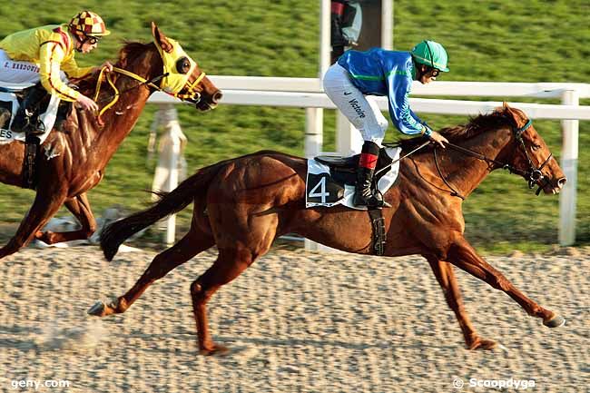 25/01/2011 - Cagnes-sur-Mer - Prix des Oliviers : Arrivée