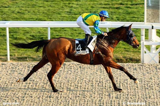 18/01/2012 - Cagnes-sur-Mer - Prix de Rimiez : Result