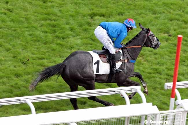 14/06/2012 - Auteuil - Prix Belle-Isle : Arrivée