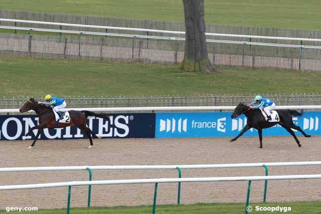 18/03/2013 - Chantilly - Prix Henry Foy : Ankunft