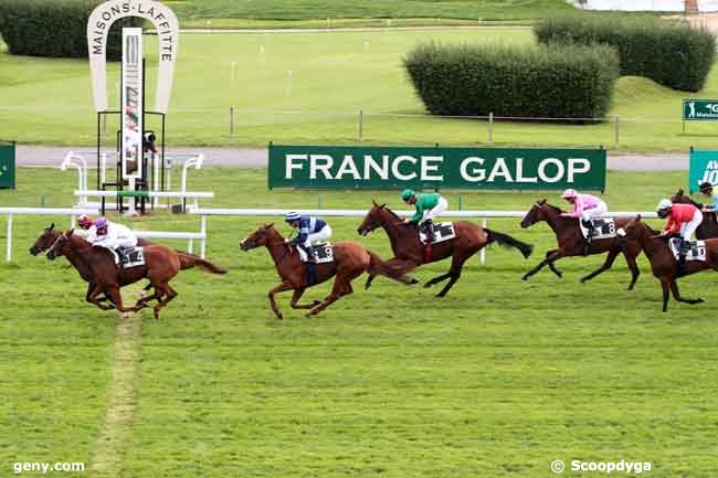 20/09/2013 - Maisons-Laffitte - Prix Ad Altiora : Arrivée