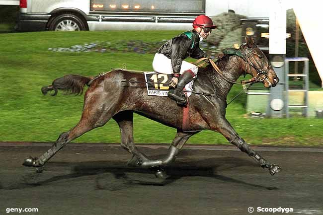 12/11/2013 - Vincennes - Prix Psyche : Ankunft