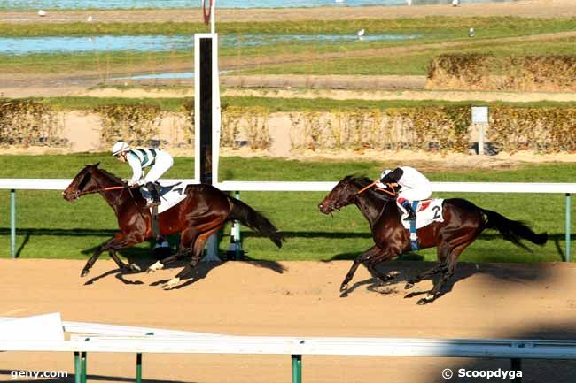 29/12/2013 - Deauville - Prix de Moricand : Arrivée