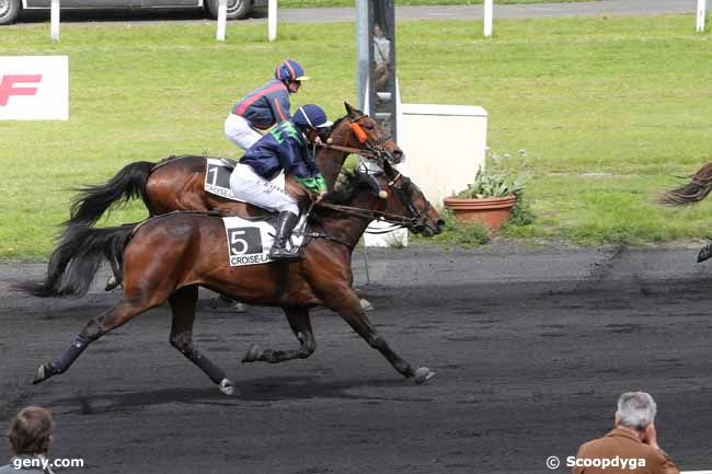 20/05/2015 - Le Croisé-Laroche - Prix d'Arras : Ankunft