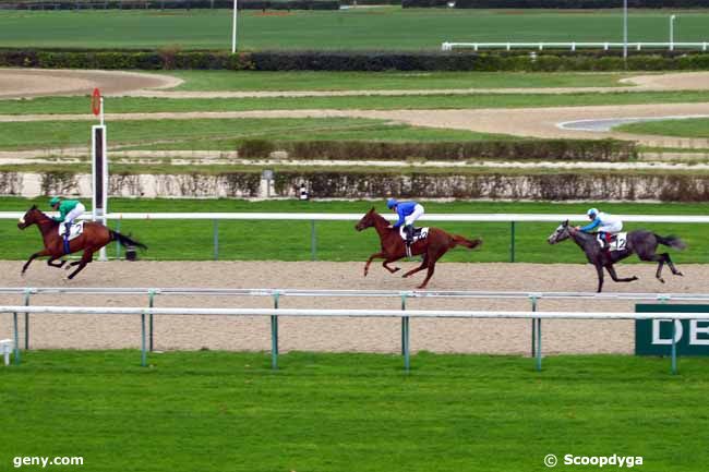 02/12/2015 - Deauville - Prix de la Mare Elan : Ankunft