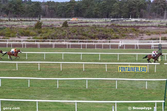 04/03/2019 - Fontainebleau - Prix Fernand Roy : Arrivée