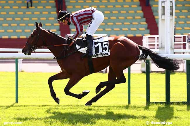 11/05/2020 - Compiègne - Prix Gacko : Arrivée