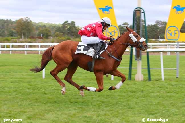 26/10/2021 - Fontainebleau - Prix André Parot : Result