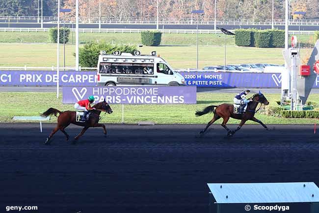 18/11/2021 - Vincennes - Prix de Carpentras : Ankunft