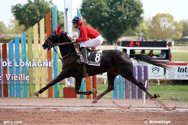 11/09/2023 - Beaumont-de-Lomagne - Prix Etonnant : Arrivée