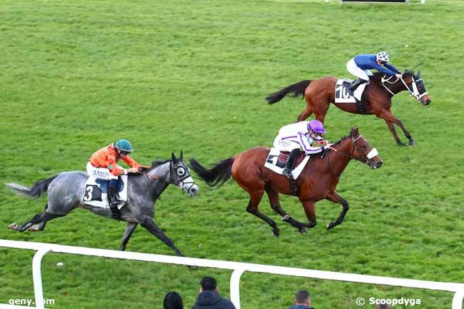 07/11/2023 - Fontainebleau - Prix des Erables : Arrivée