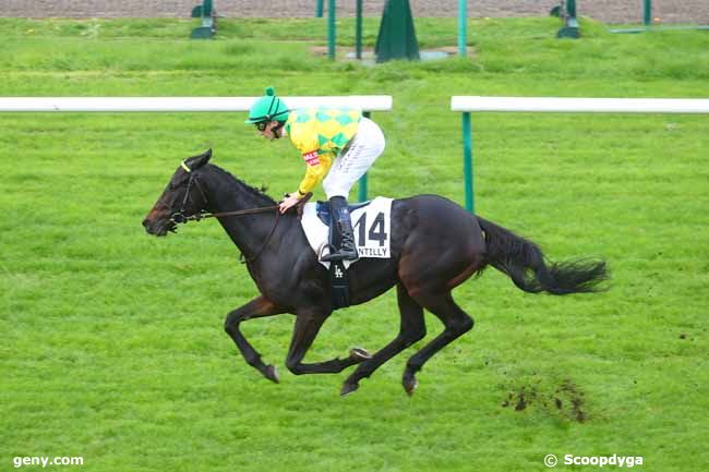 26/10/2024 - Chantilly - Prix du Bois Bourillon : Arrivée