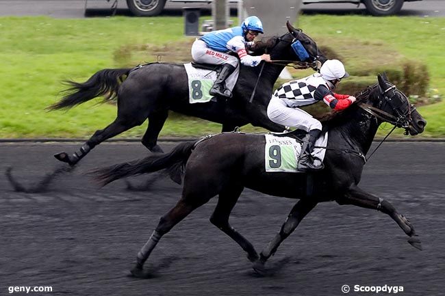 05/11/2024 - Vincennes - Prix de Carpentras : Arrivée