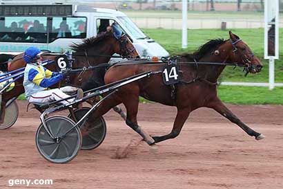 06/11/2024 - Nantes - Prix Bioret Cheval : Arrivée