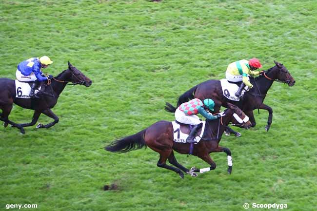 17/11/2024 - Auteuil - Prix Bernard Secly : Arrivée