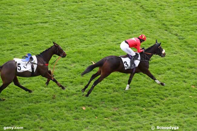 24/11/2024 - Auteuil - Prix de Biarritz : Arrivée