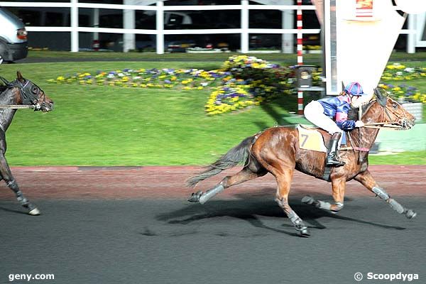 24/10/2008 - Vincennes - Prix Corduba : Arrivée