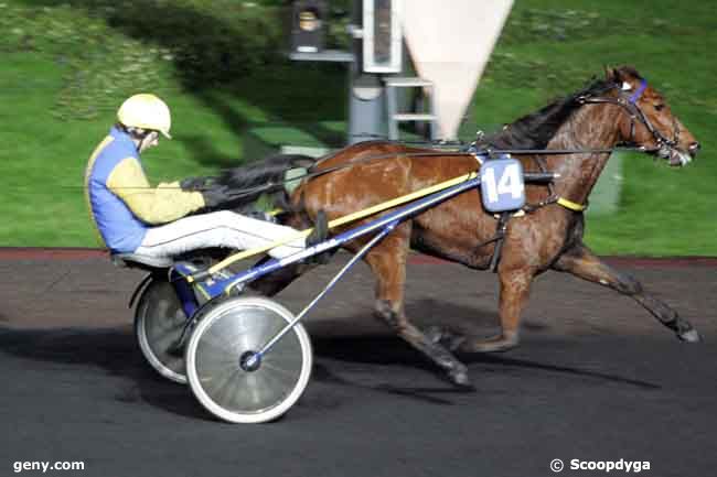 29/12/2009 - Vincennes - Prix des Gardénias : Arrivée