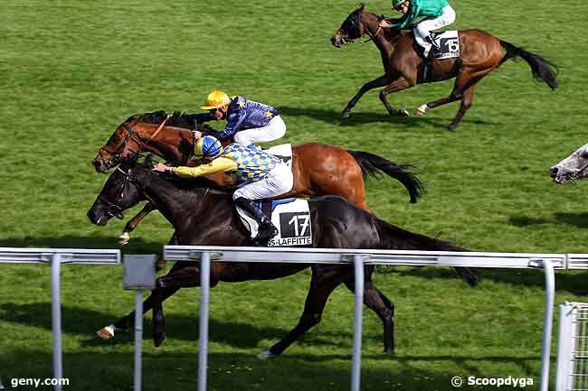 22/05/2010 - Maisons-Laffitte - Prix des Yvelines : Ankunft