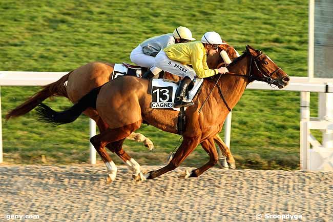 18/01/2012 - Cagnes-sur-Mer - Prix de Magnan : Result