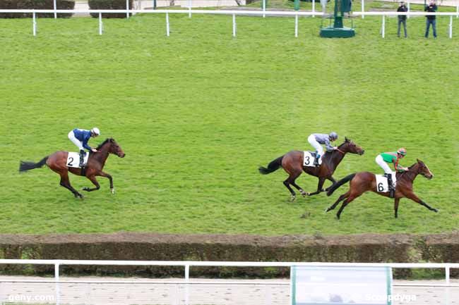 19/03/2013 - Saint-Cloud - Prix de Chaumont-en-Vexin : Arrivée