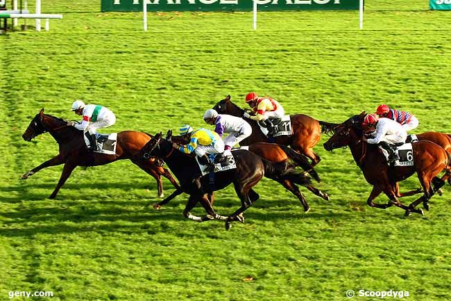 04/11/2014 - Maisons-Laffitte - Prix de Mauries : Arrivée