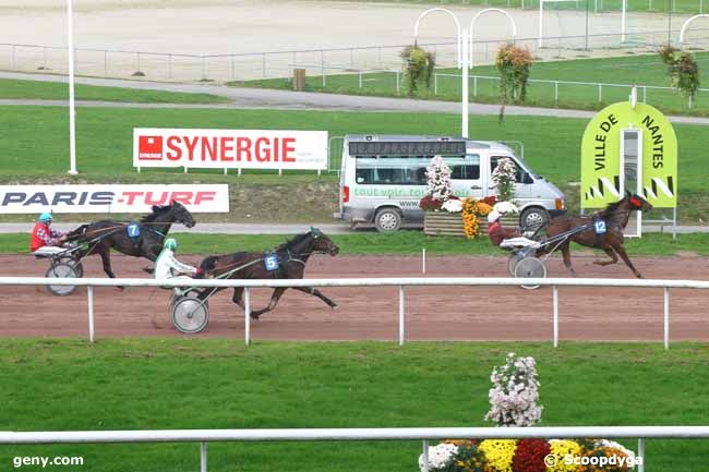 04/11/2015 - Nantes - Grand Prix des 5 ans (gr B) : Ankunft