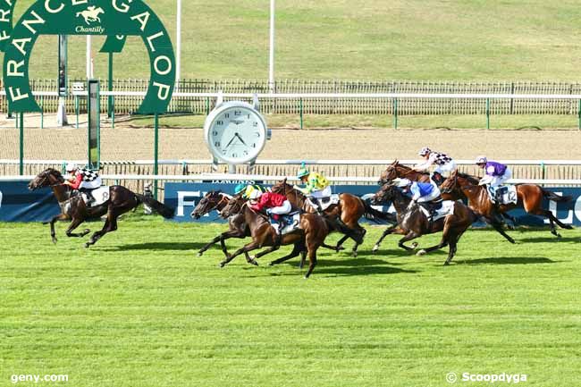 15/09/2018 - Chantilly - Prix de la Reconversion d'un Cheval de Courses en Cheval de Horse Ball : Arrivée