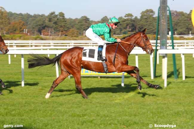 12/11/2021 - Fontainebleau - Prix de la Touche aux Mulets : Arrivée