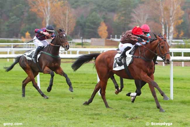 22/11/2021 - Fontainebleau - Prix de la Grotte des Ermites : Arrivée