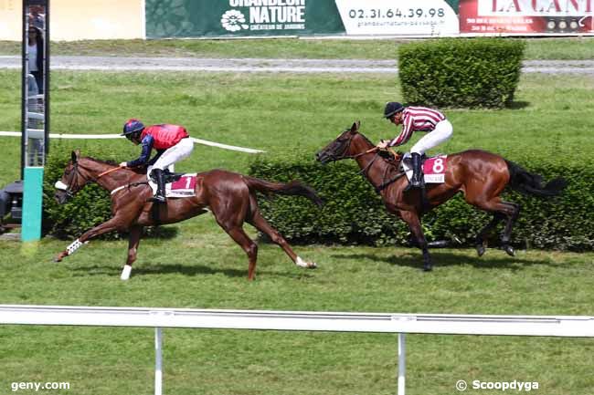 07/08/2023 - Clairefontaine-Deauville - Prix de la Paquine : Arrivée