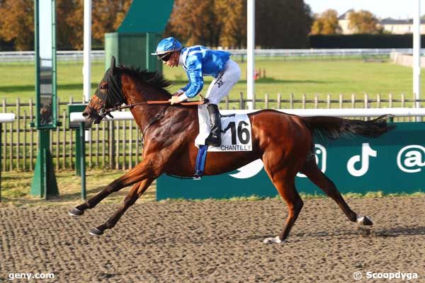 07/10/2023 - Chantilly - Prix de Senlis : Arrivée