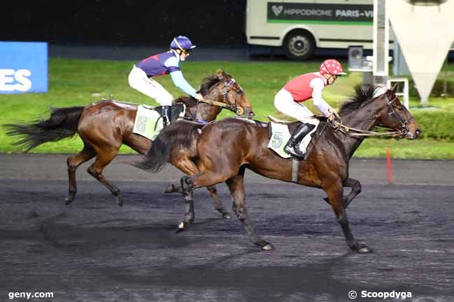 06/11/2023 - Vincennes - Prix Reynolds : Arrivée