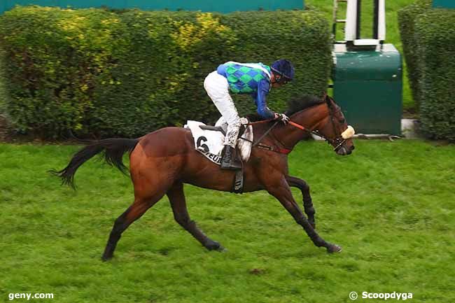 18/11/2023 - Auteuil - Prix Sambristan : Arrivée