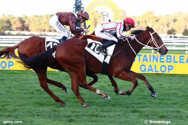 25/11/2023 - Fontainebleau - Prix de Louise (Prix du Belvédère des Druides) : Arrivée