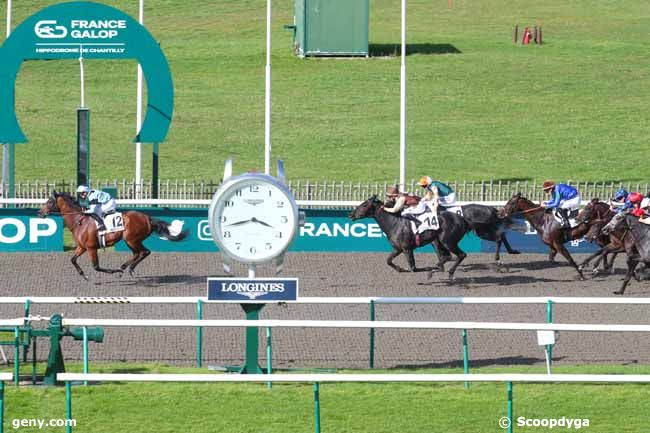 01/10/2024 - Chantilly - Prix du Salon des Condé : Ankunft