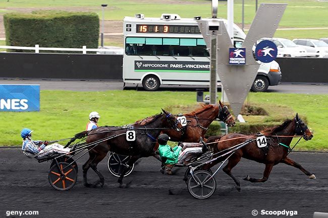 05/11/2024 - Vincennes - Prix de Senonnes : Arrivée