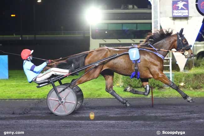 14/11/2024 - Vincennes - Prix des Hortensias : Arrivée