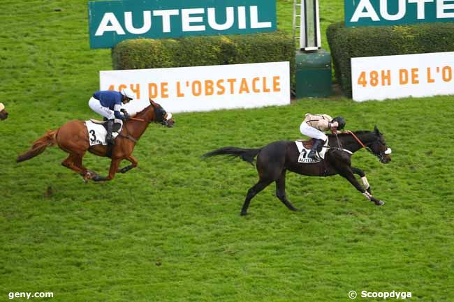 17/11/2024 - Auteuil - Prix Cacao : Arrivée