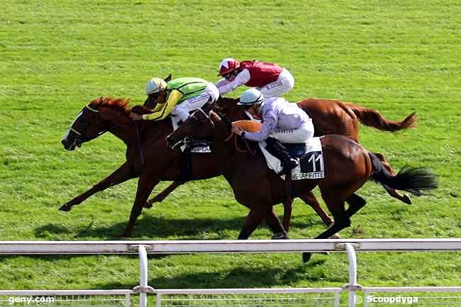 24/09/2010 - Maisons-Laffitte - Prix Joyeux Drille : Arrivée