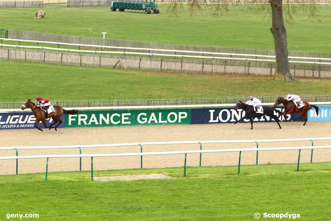 26/11/2013 - Chantilly - Prix du Mont César : Arrivée