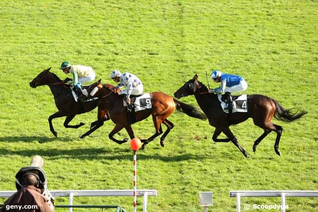 11/10/2014 - Maisons-Laffitte - Prix de Saint-Arnoult-en-Yvelines : Ankunft