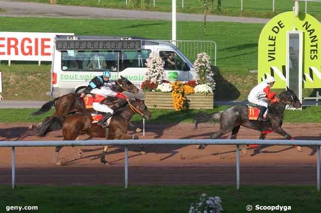 04/11/2015 - Nantes - Prix du Grand National des Jockeys : Arrivée